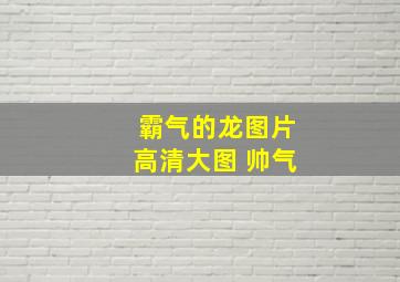 霸气的龙图片高清大图 帅气